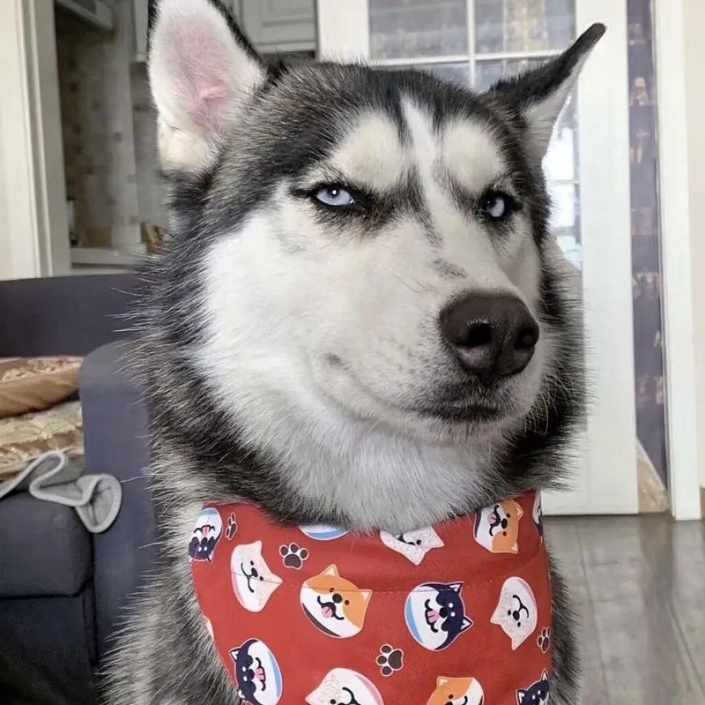 🌈🌈 🌈🌈 🌈🌈 🌈🌈