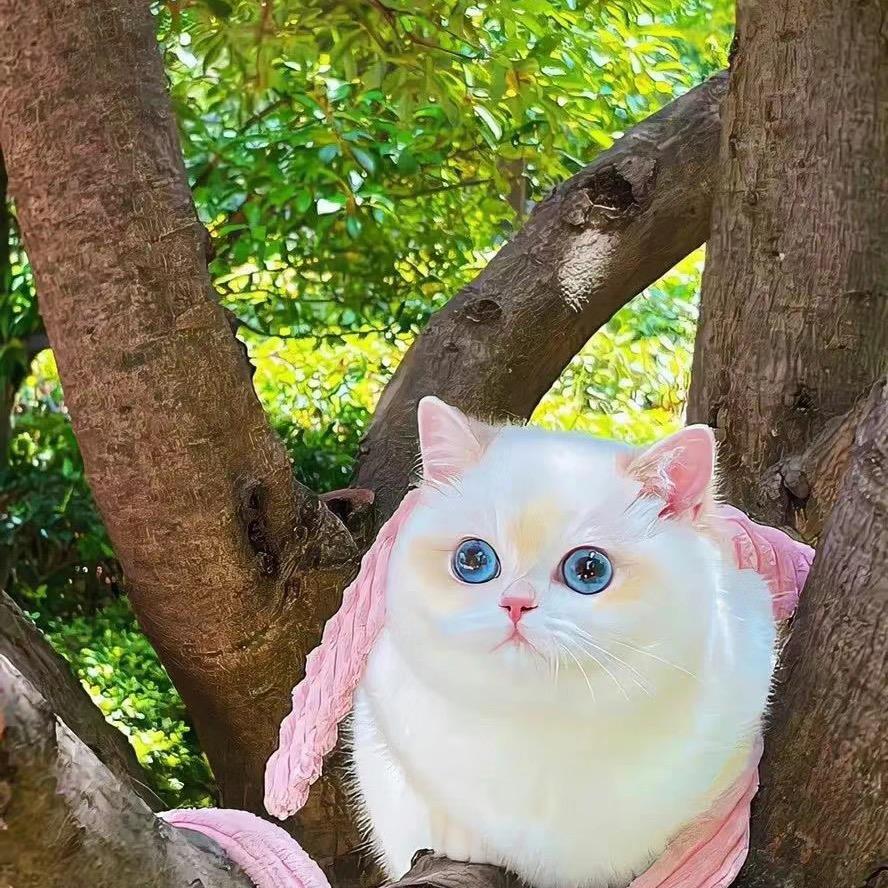 招财猫的小铃铛୧₍˄·͈༝·͈˄₎୨