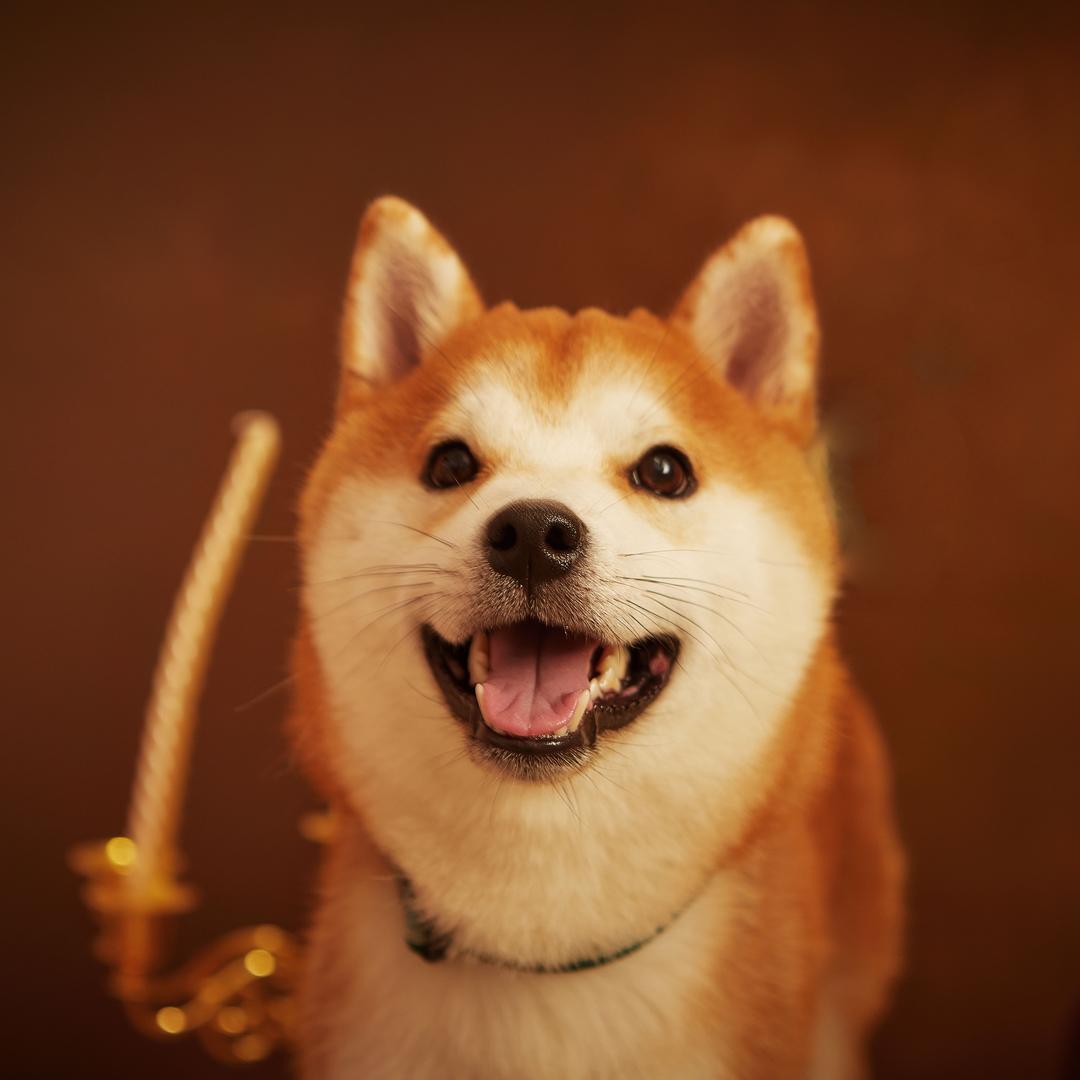 噼里biu啦