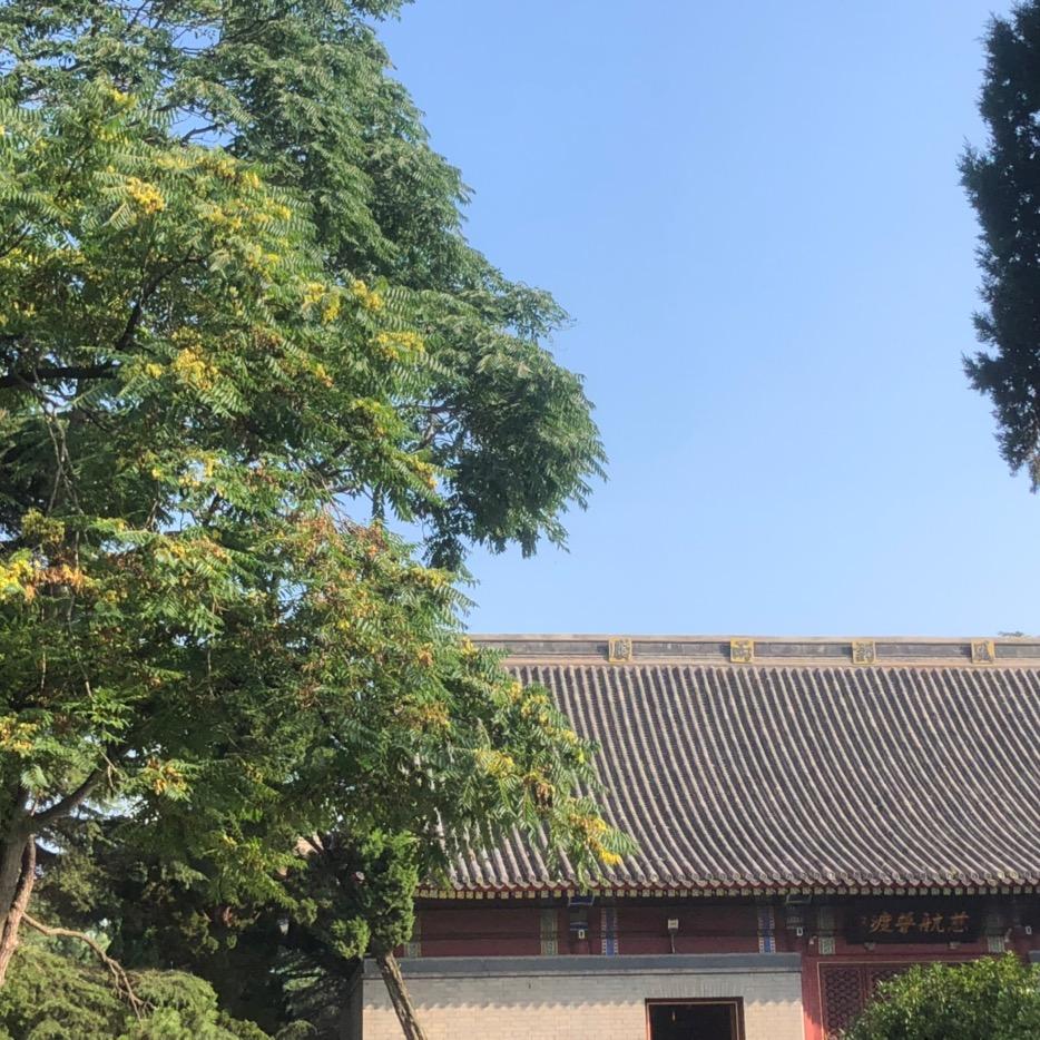良展李