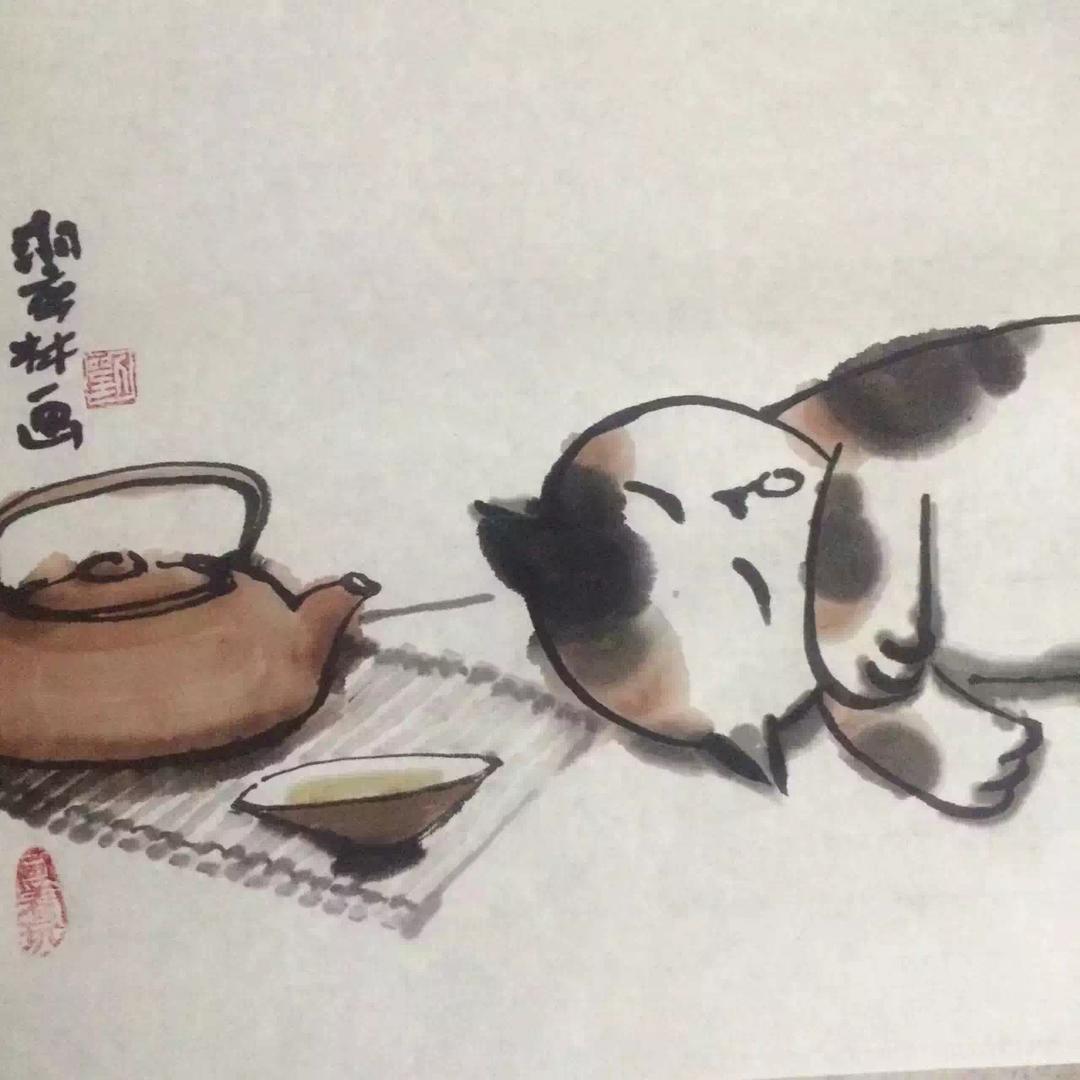 清茶🌻半盏