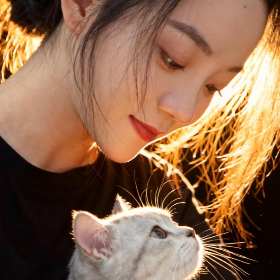 小野猫