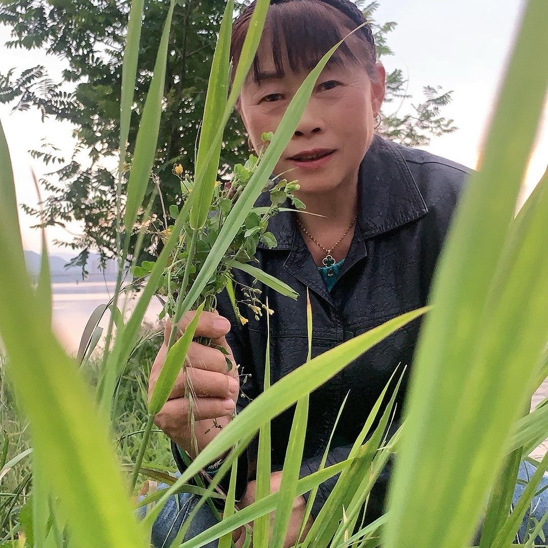 🍎🍎相遇🌺是🌷缘份🌹🌹