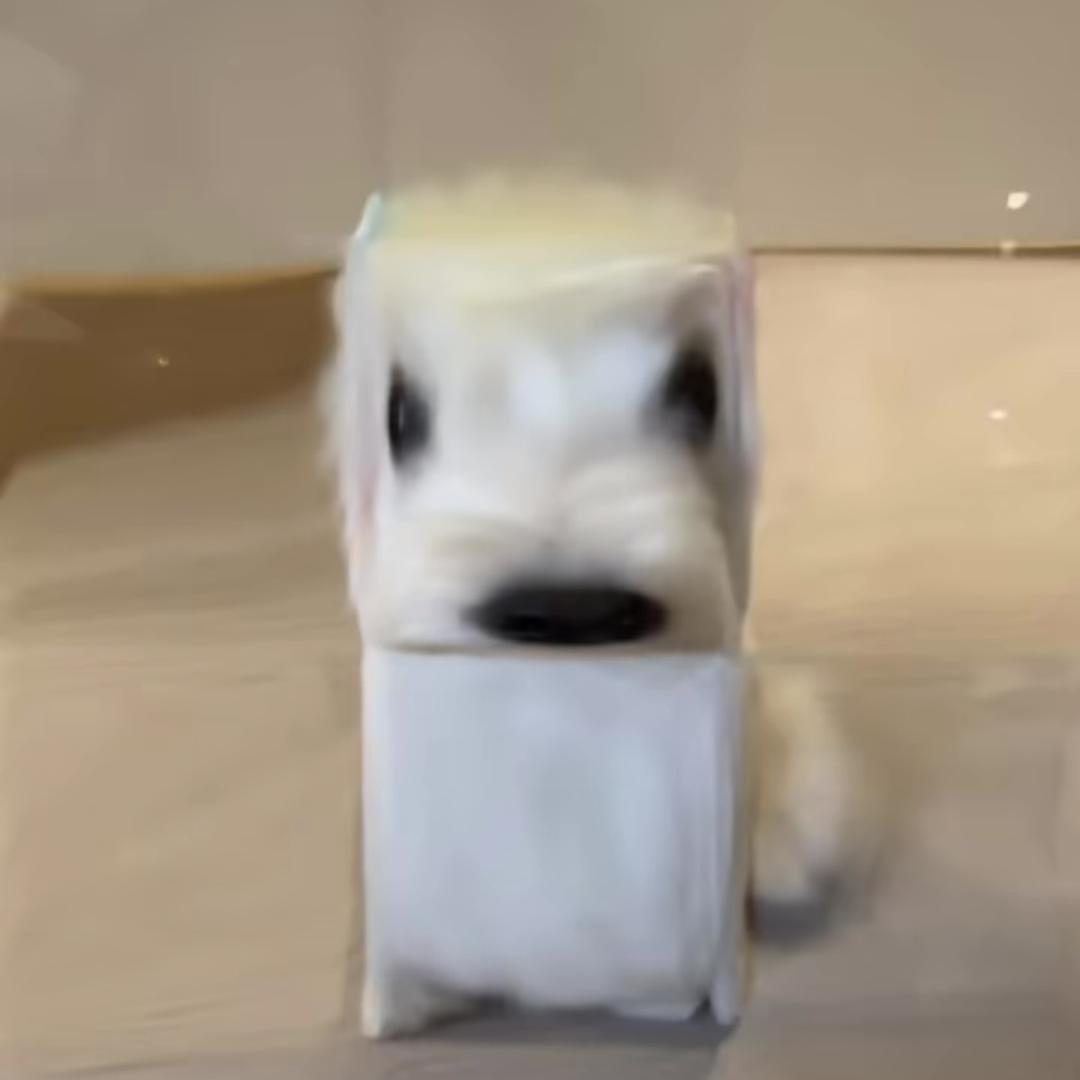 阳光开朗元子