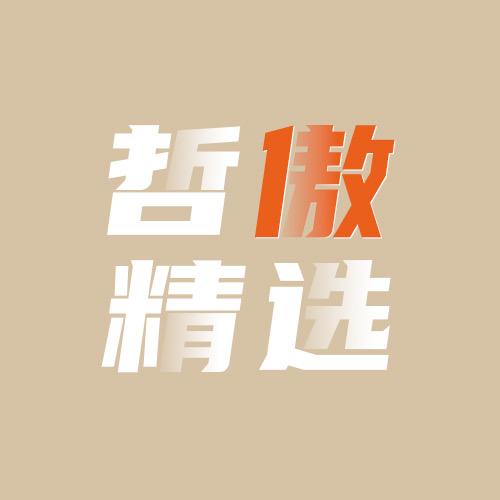 哲傲精选