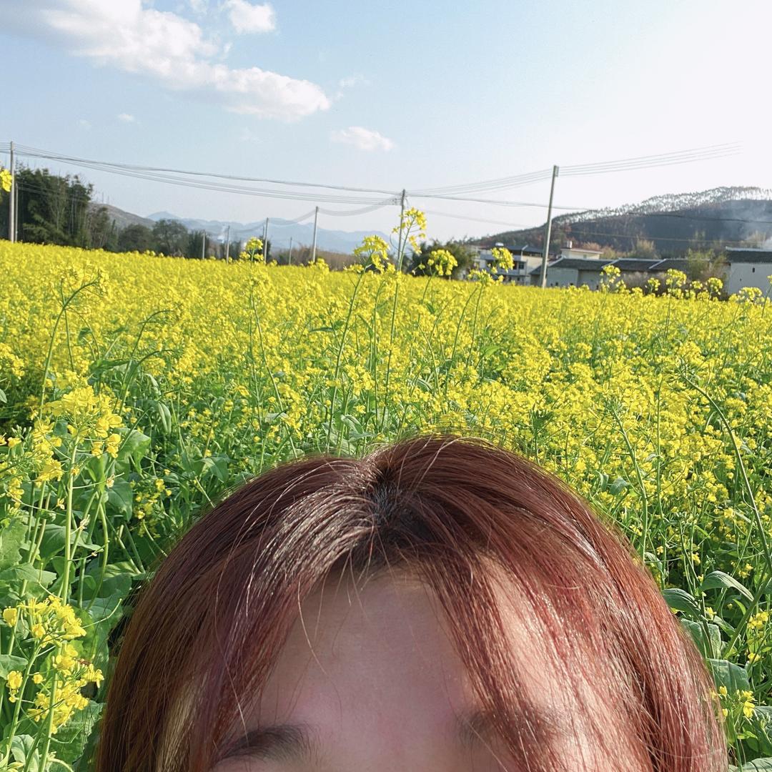 小新不吃香菜