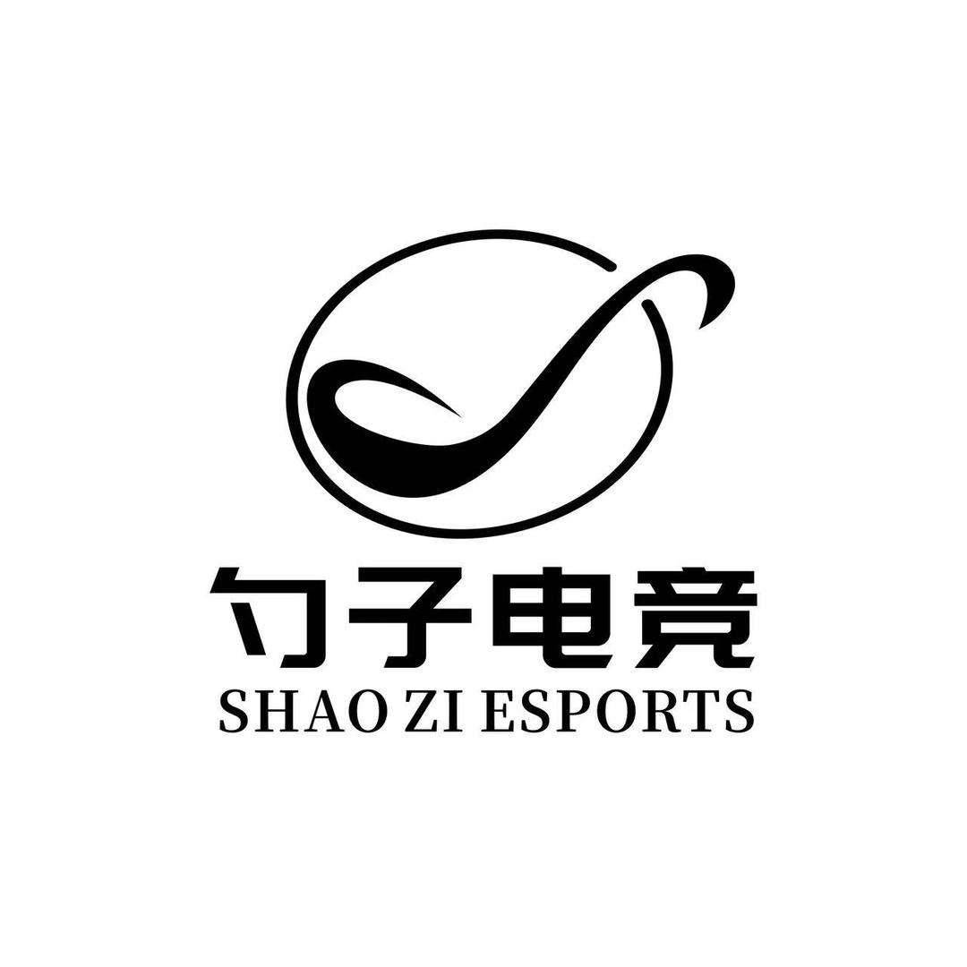 勺子电竞（三角洲行动）