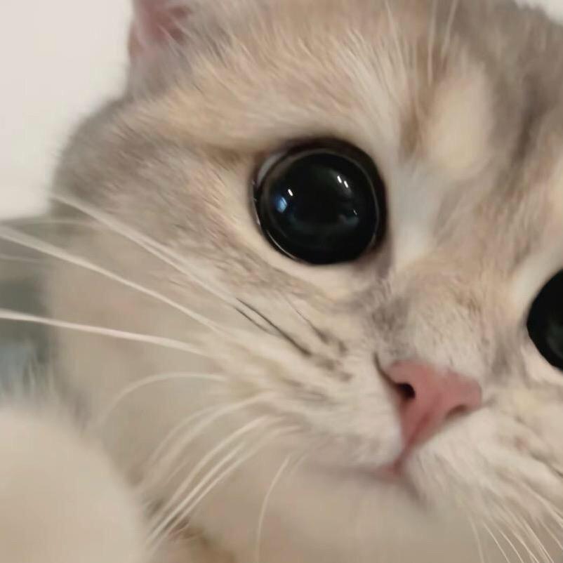 小氿