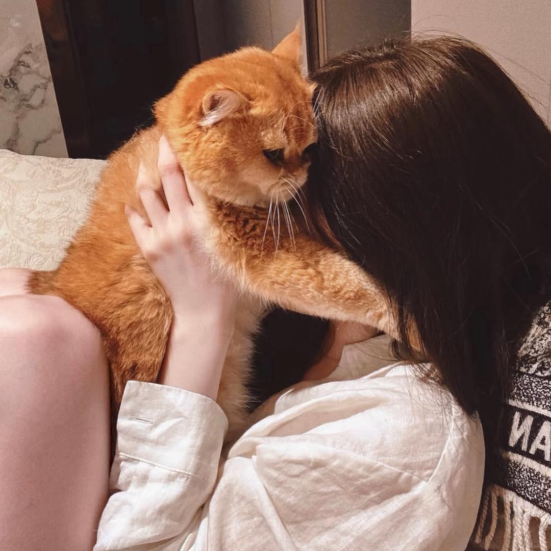 ⦮🧊⦯