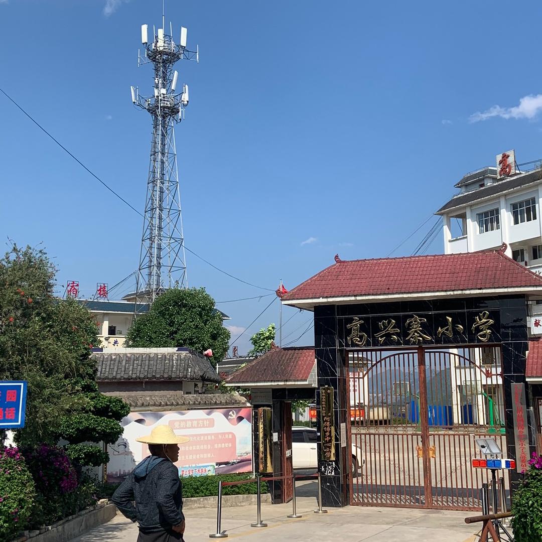 高迪迪