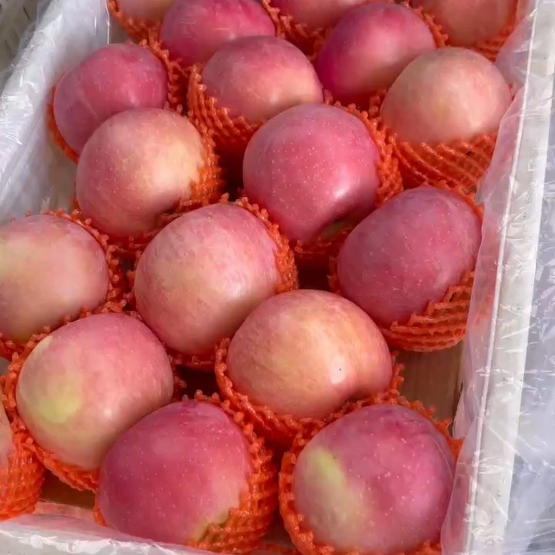 志诚农业果蔬购销