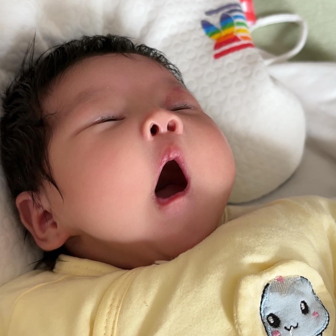 唐果成长记