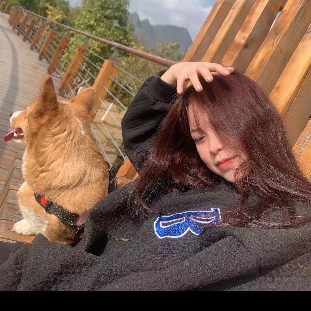 杨妹总犯困💤