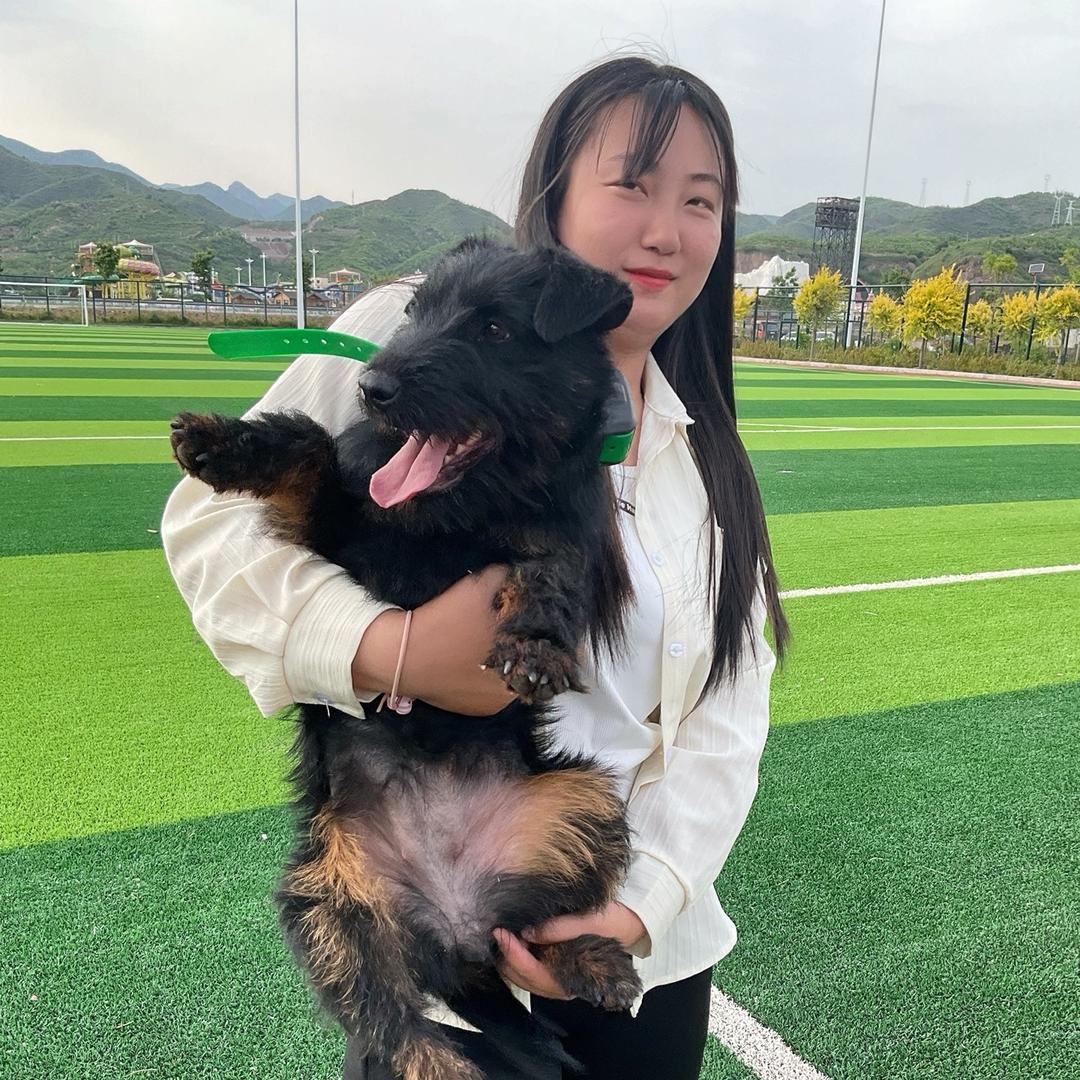 静静猎梗