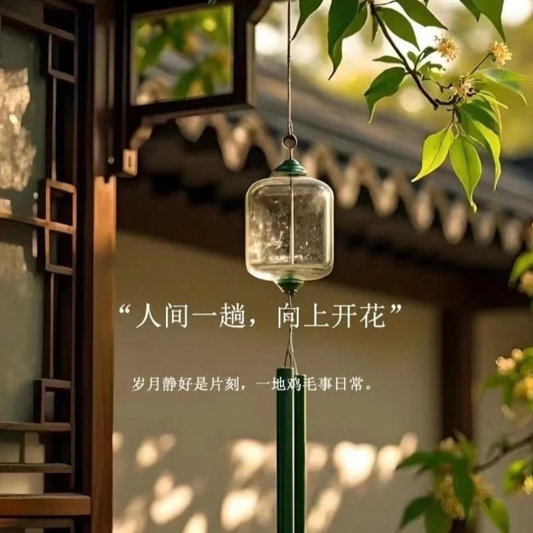 岁月静好（好物分享）