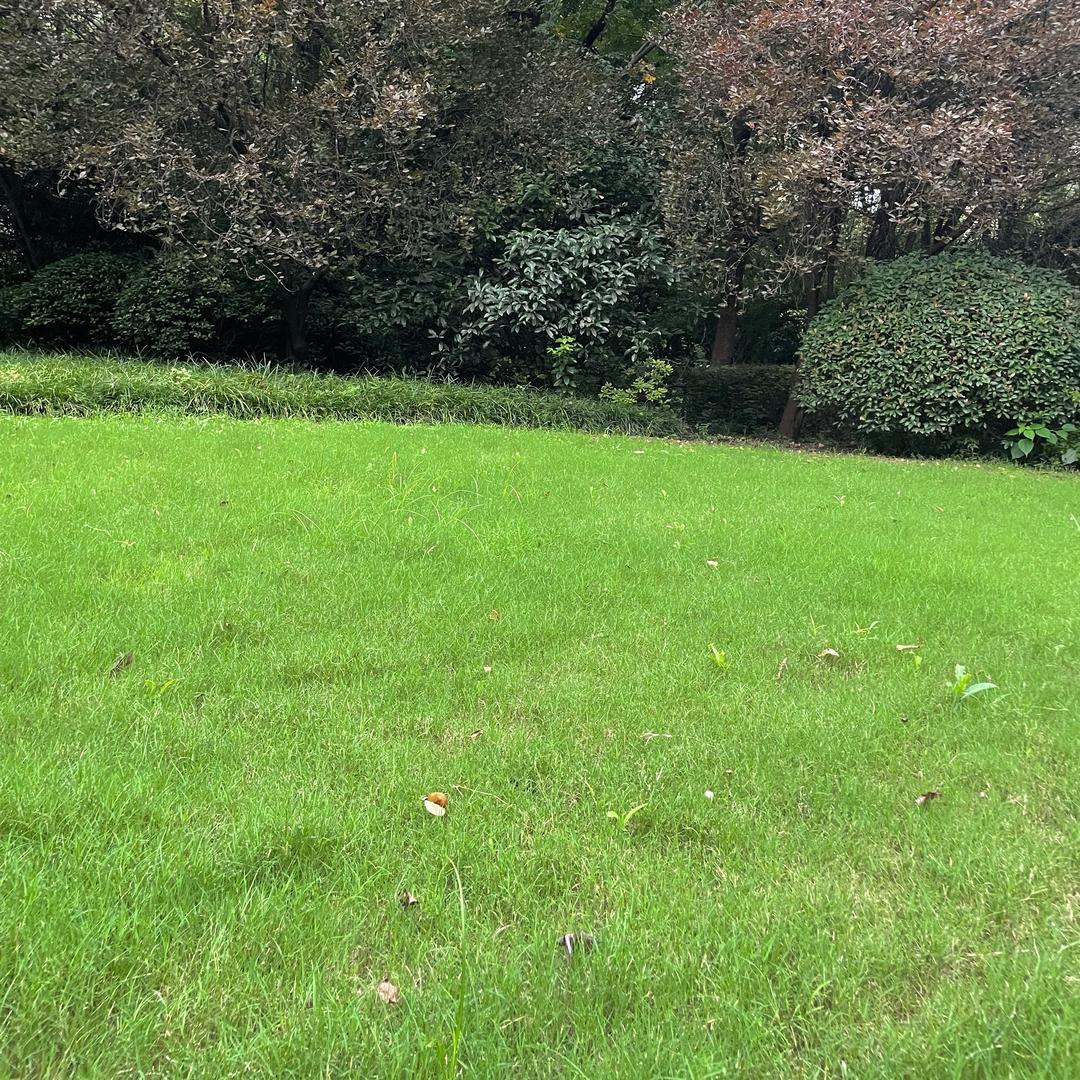 🏃🏻‍➡️🏃🏻‍➡️