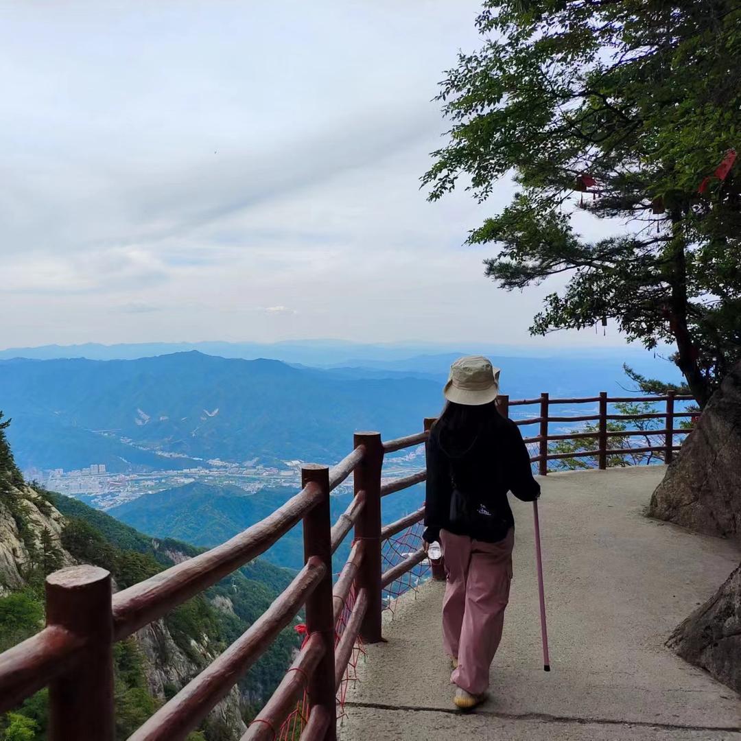 岁岁安澜