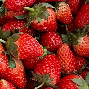 艺康美容美发养身馆官方号