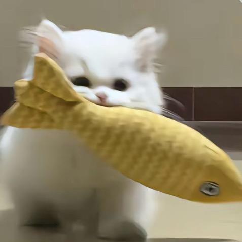 香菜不菜.