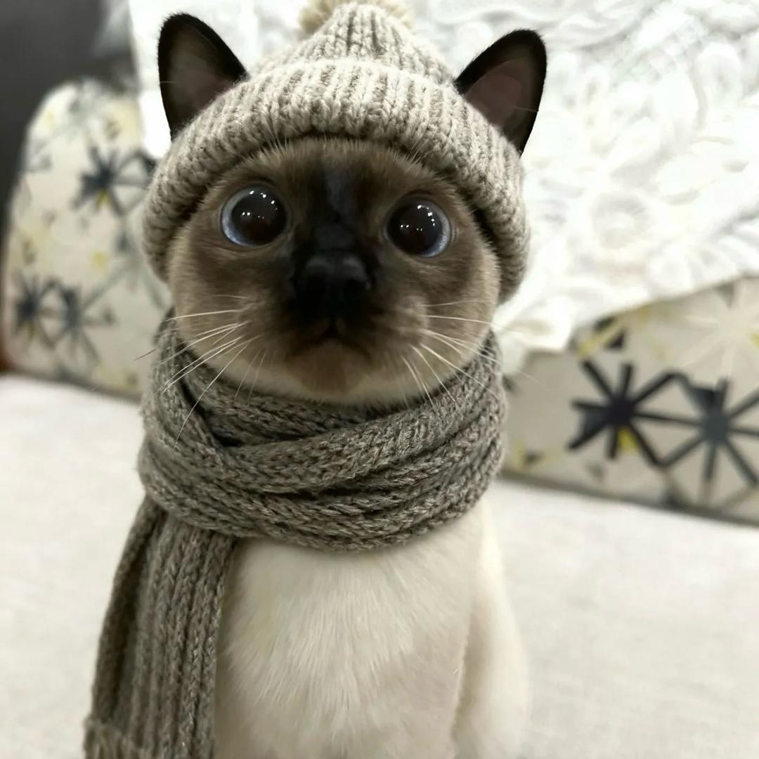 话说三遍淡如水