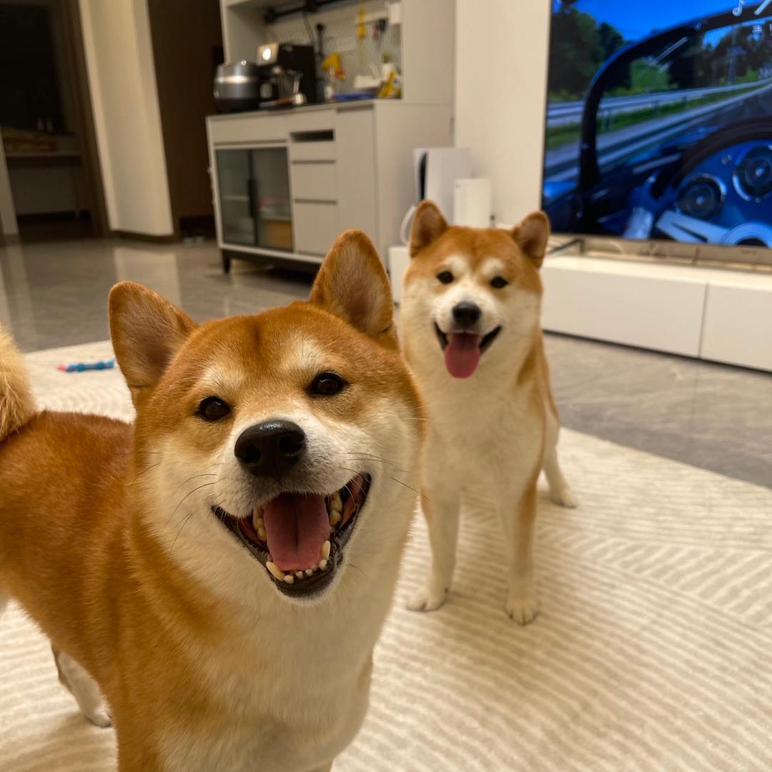 @许大埋汰