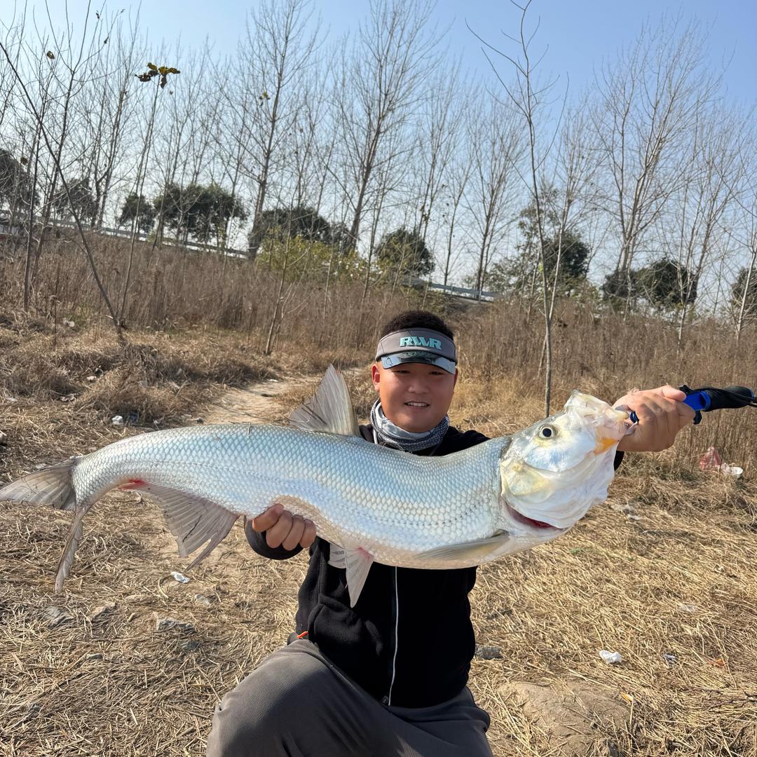 三日路亚（逗钓）