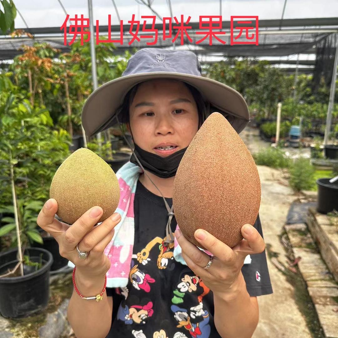 喜言柠檬女神园林专卖店