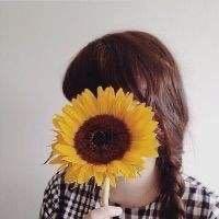 @琳Sunshine