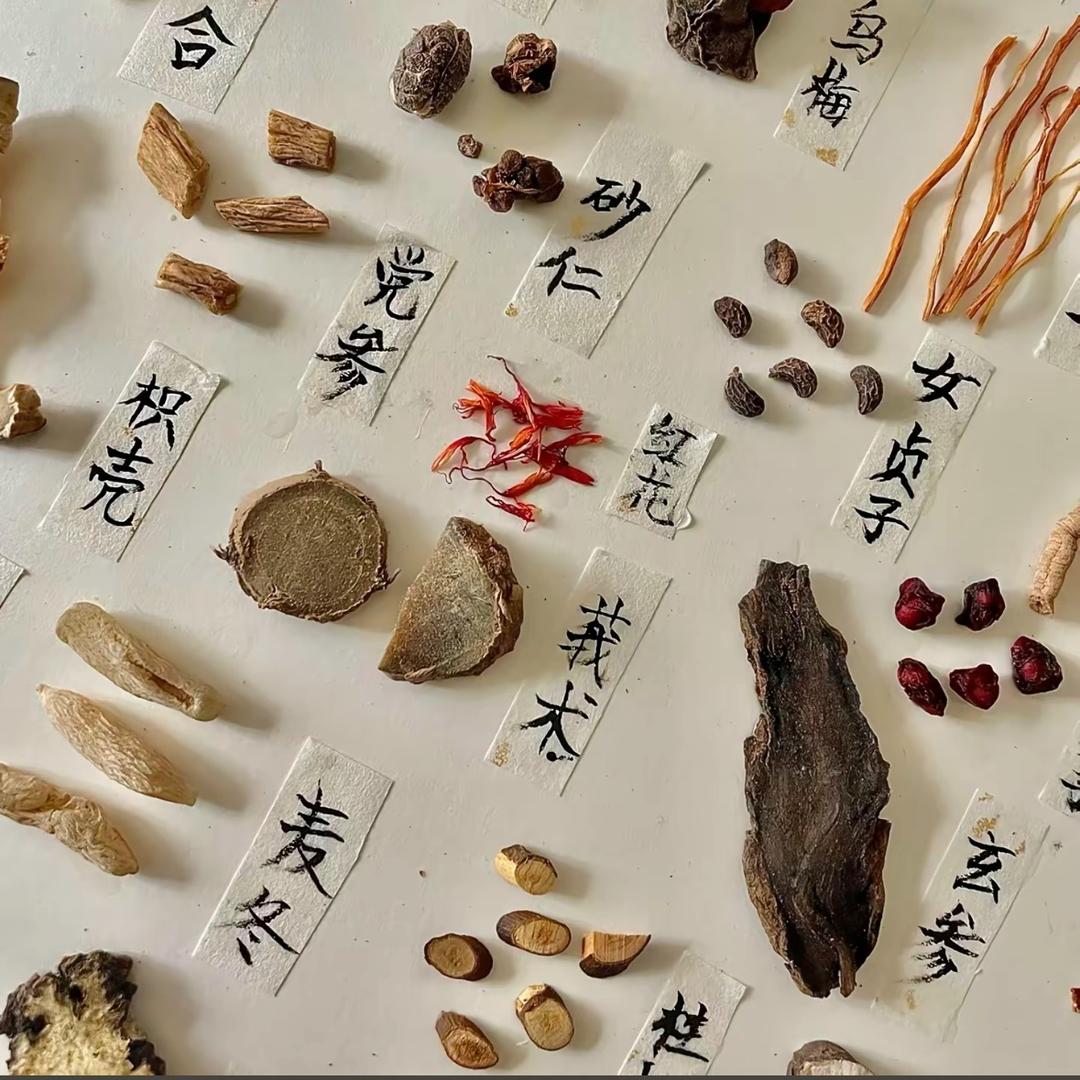 草本心语