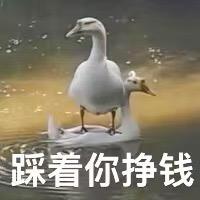 猛踹瘸子那条好腿啊