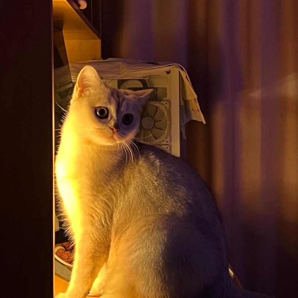 🌈夏日暖纯洁🌈