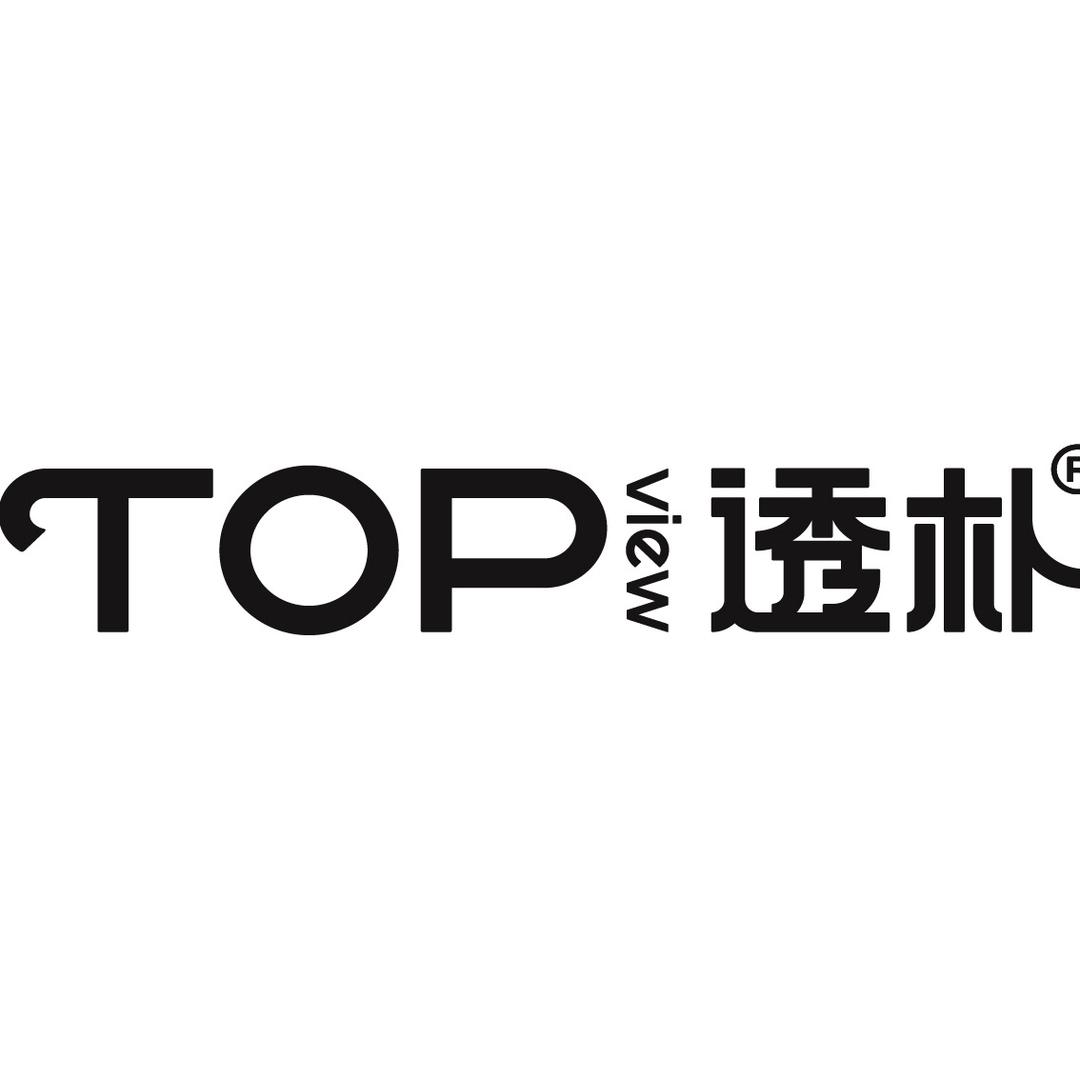 透朴