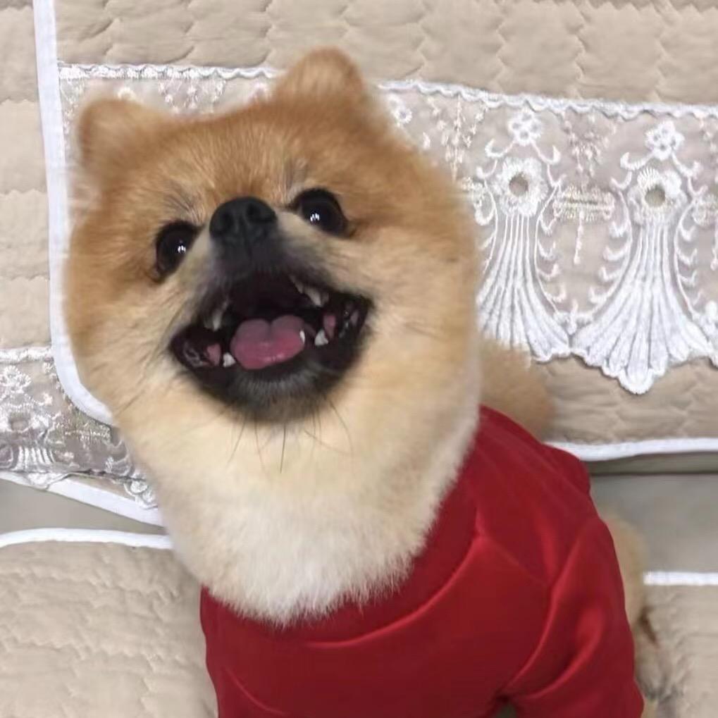 金豆豆