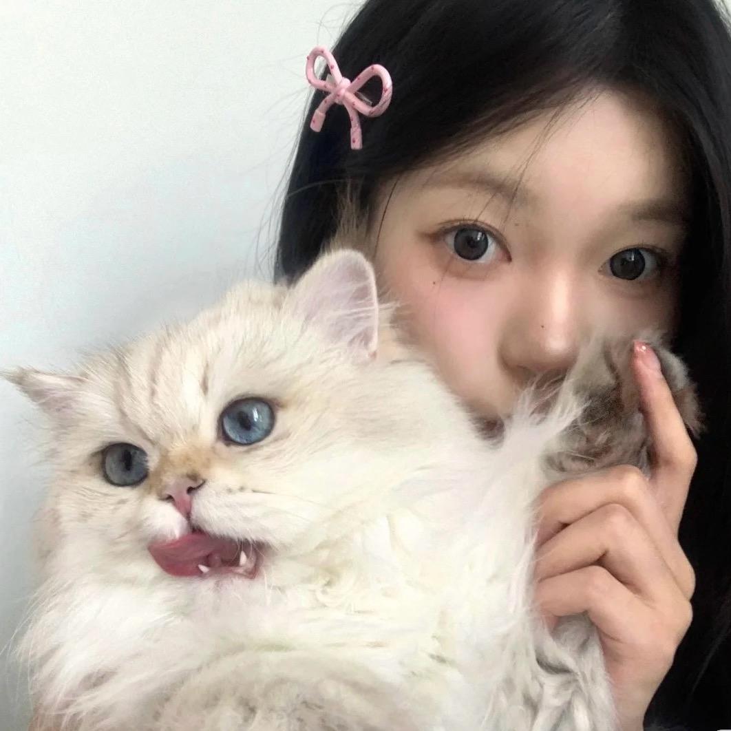 泡芙小蝴蝶ᨳଓ