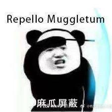 麻瓜日常