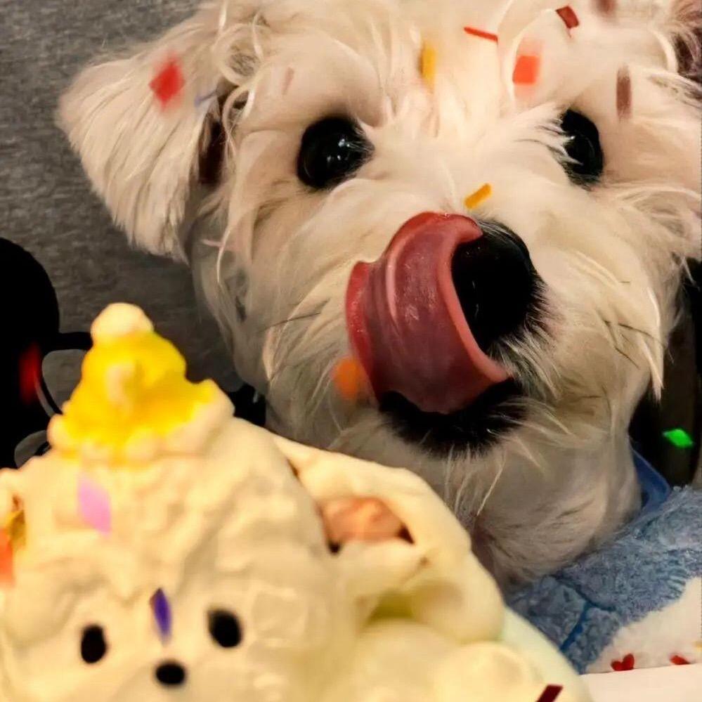 但你是草莓味儿的✨