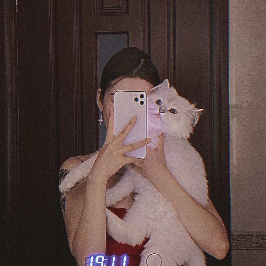 vivi