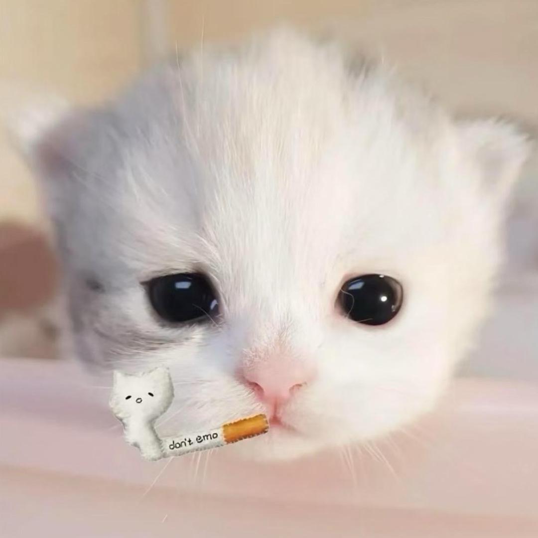 我一生气就喝酒