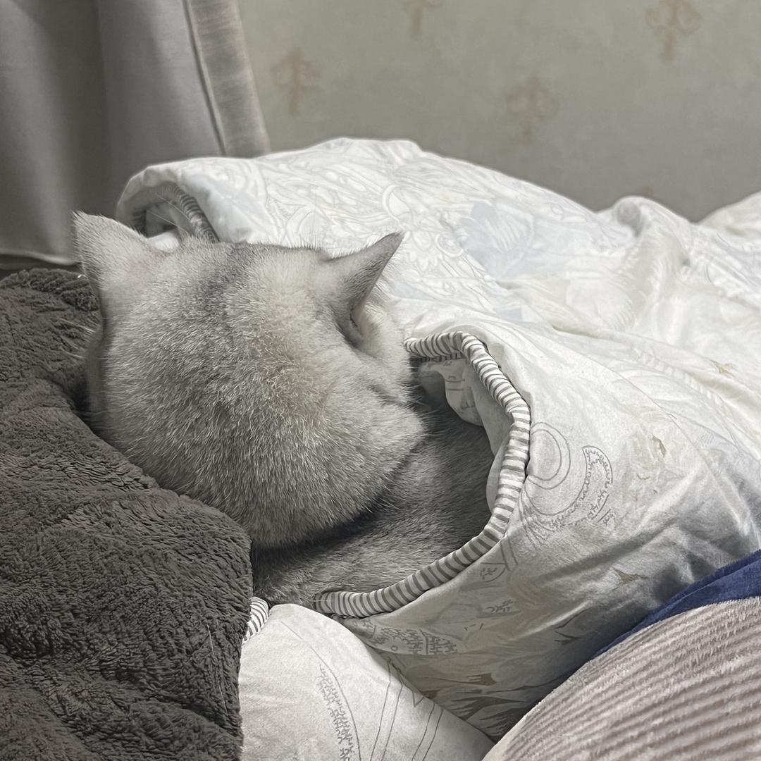 多多生活百货分享