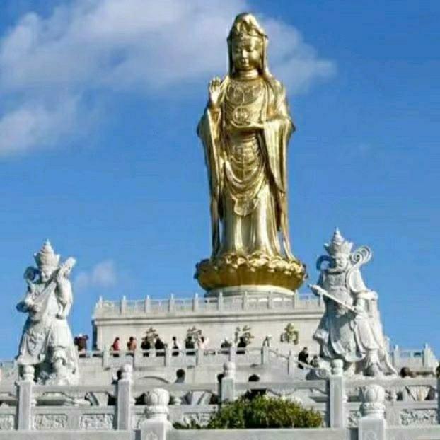 普陀山阿浩（祈福团，1对1导游）