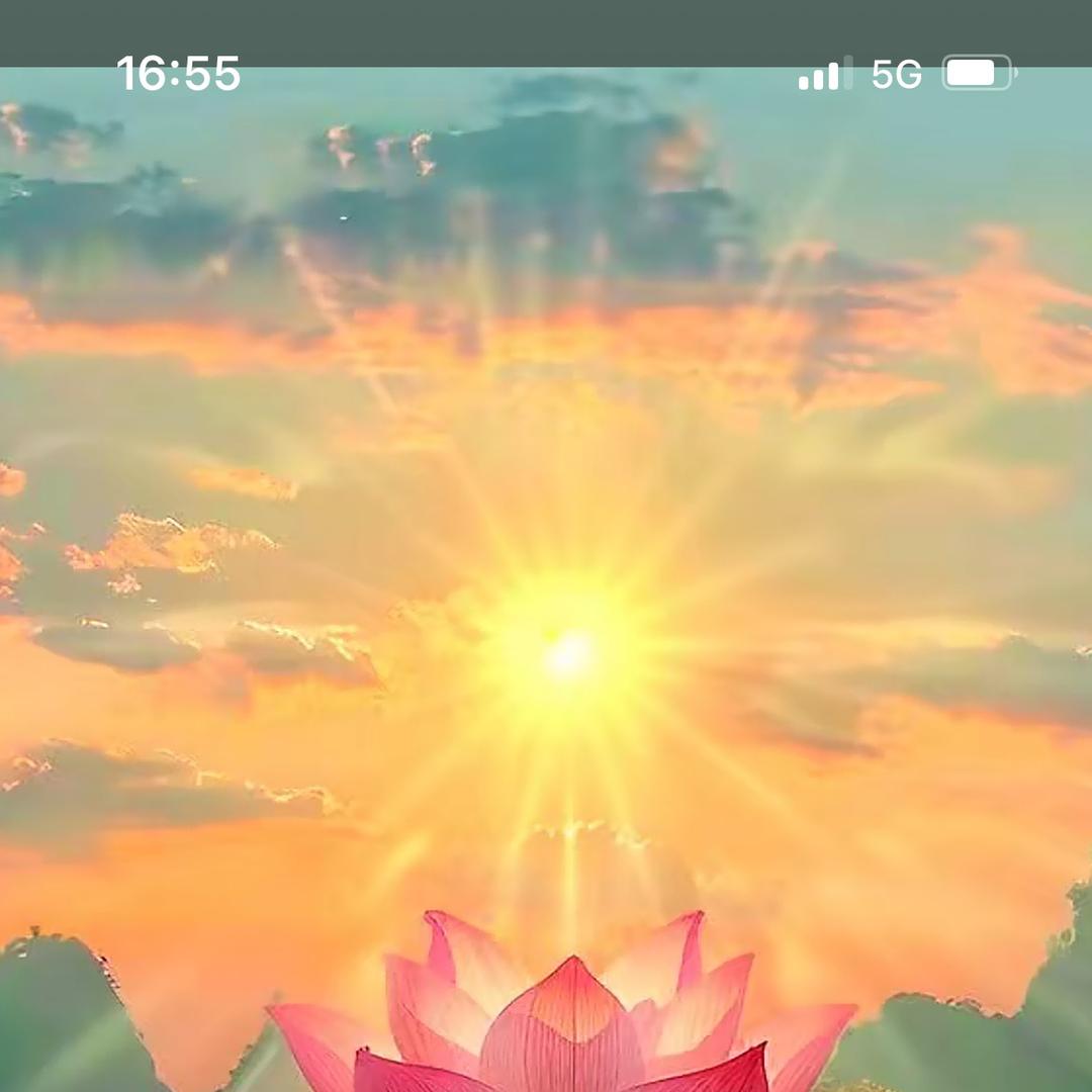 闻人芷涵