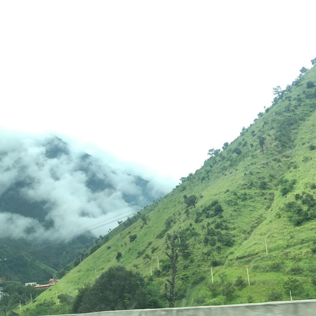 新兴铸管（螺纹，盘螺）