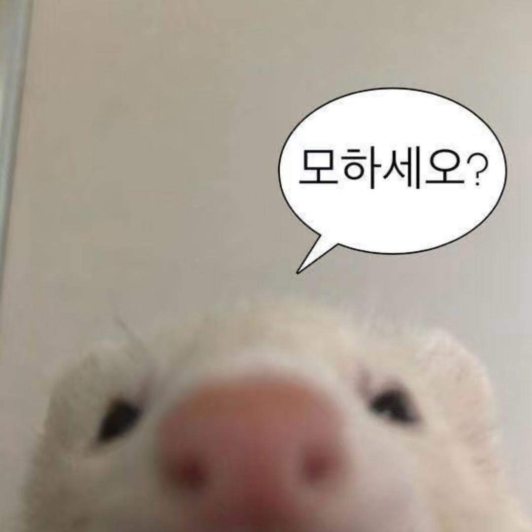 ˶> ᴗ <˶