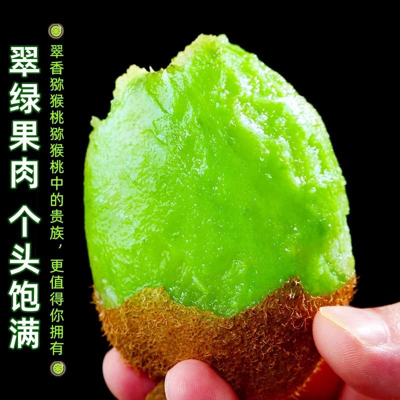 周至奕香田果业农民专业合作社翠香猕猴桃