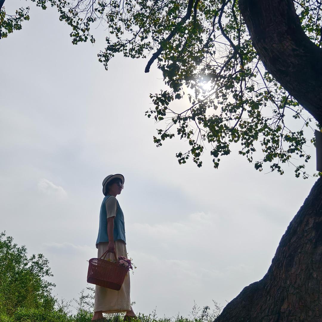 闲 宁