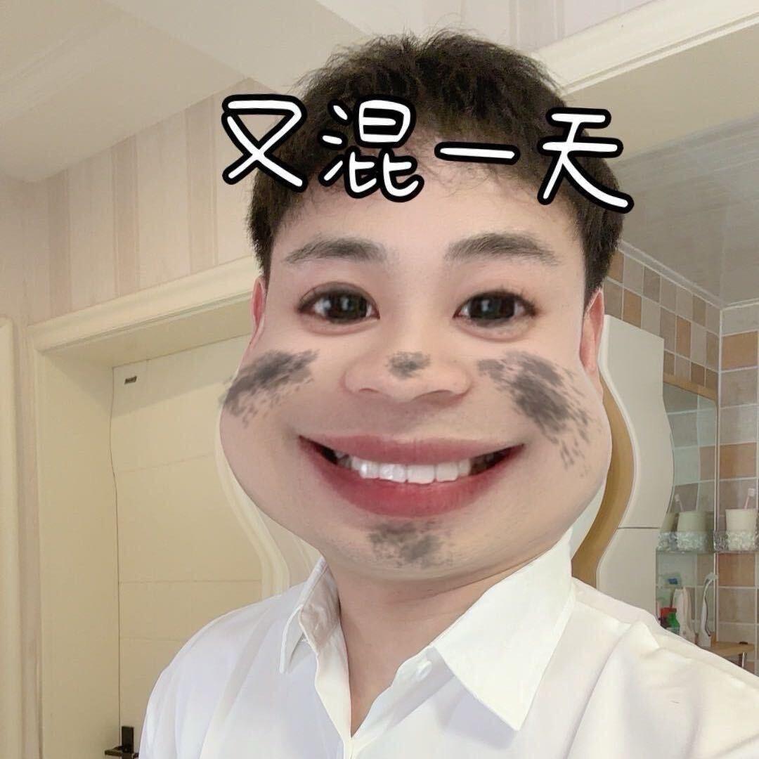 花花   性价比宠物