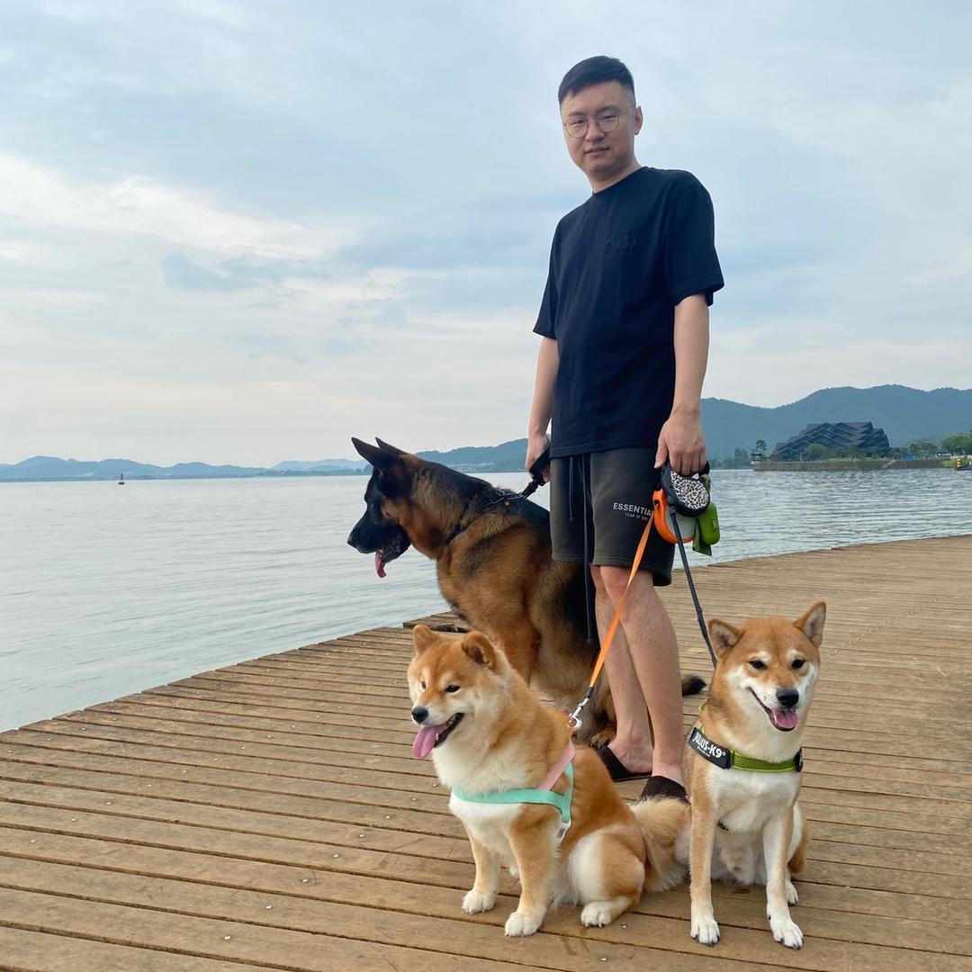 上海友宠宠物
