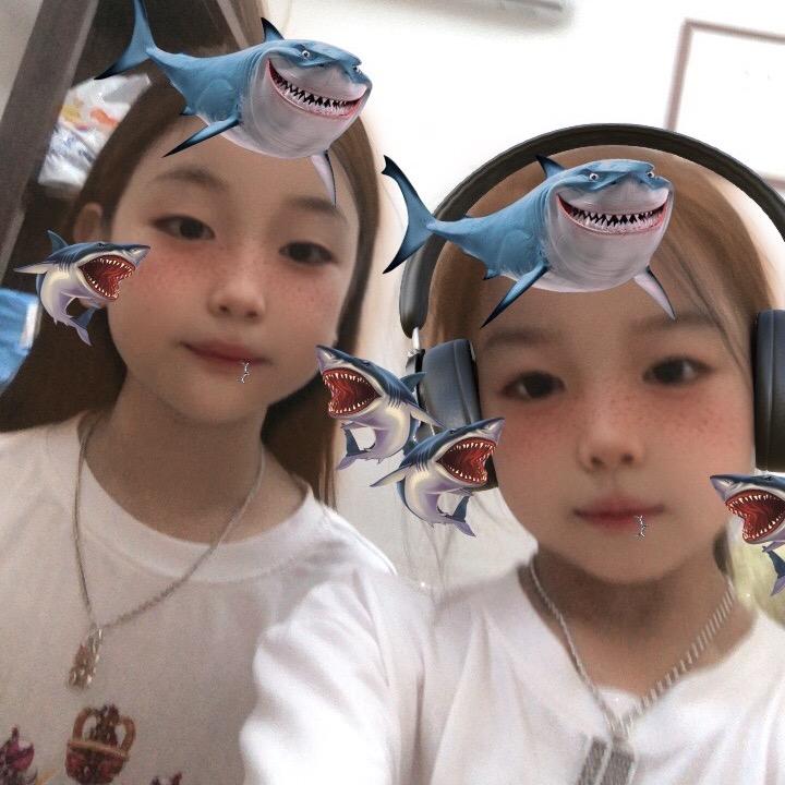 淇宝
