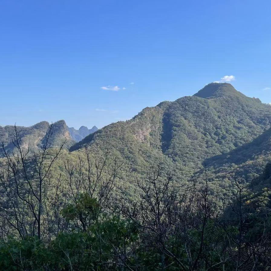 所有遇见都是美好