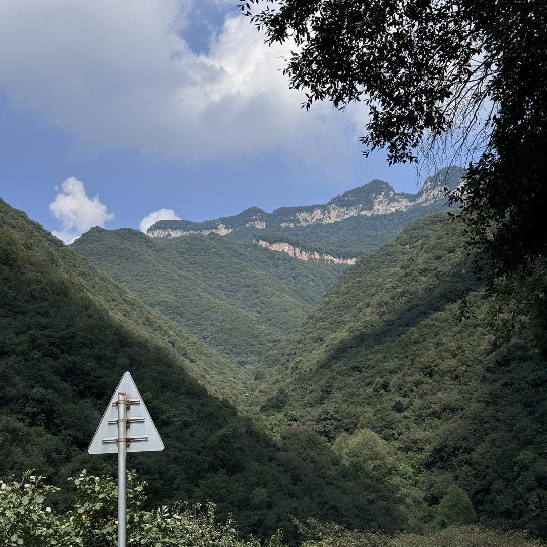 风华.-